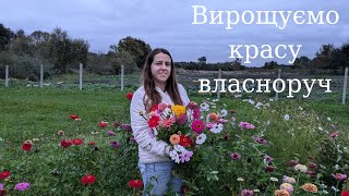 Квіткове поле біля будинку 🏵️🪷|| Перший досвід вирощування квітів