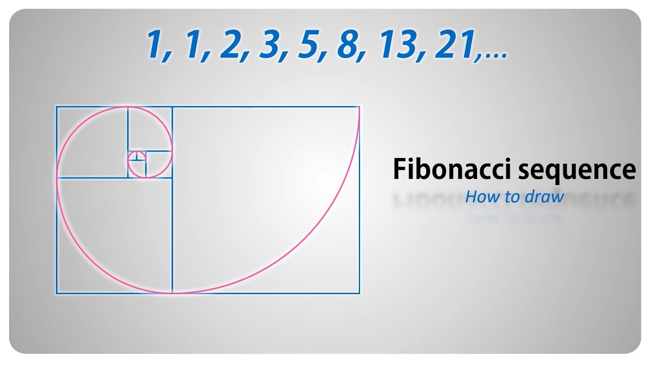 Best How To Draw A Fibonacci of the decade Check it out now 