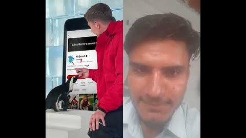 #penguin #automobile #challenge #funny #subscribe #duet #viralvideos #viral #mrbeast #subscribers