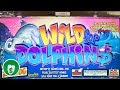 Wild for Dolphins slot machine, bonus