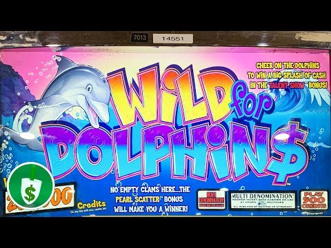 Wild for Dolphins slot machine, bonus