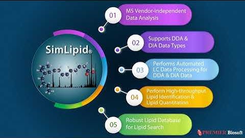 Lipidomic Data Analysis Software for Lipid Identification & Quantification