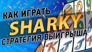 Игровой автомат Sharky (Шарки): обзор слота, как выиграть