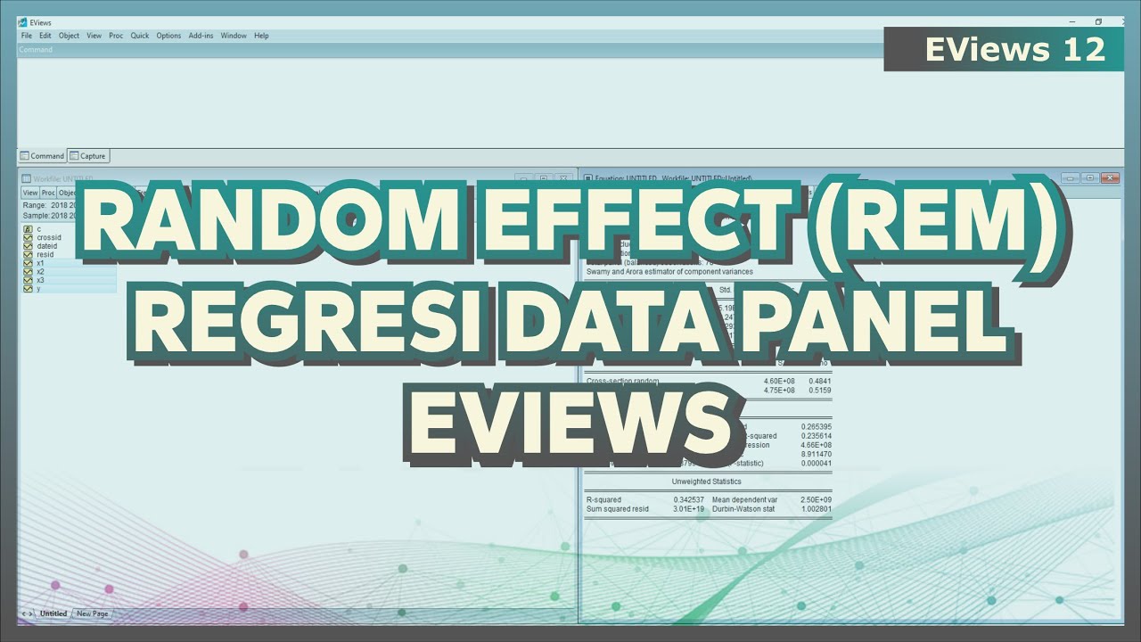RANDOM EFFECT MODEL EVIEWS ️ UJI RANDOM EFFECT ‼️ (REM EVIEWS) YouTube