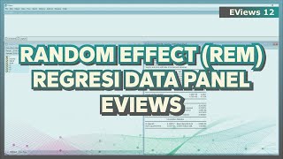 RANDOM EFFECT MODEL EVIEWS ➡️ RANDOM EFFECT TEST ‼️ (REM EVIEWS)