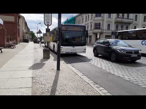 Buslinie Neuruppin Rheinsberger