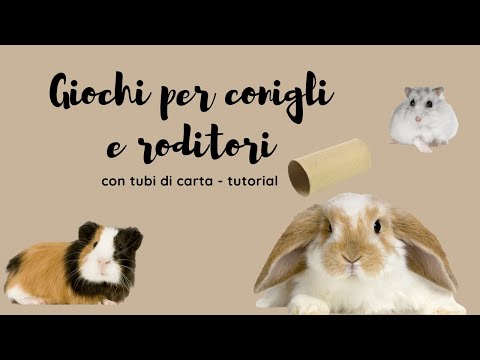 Video: Puoi dare ai cani ibuprofene per il dolore articolare nei fianchi?