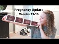 Pregnancy Update Weeks 13-16 | Bleeding Scare