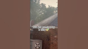 I have no idea what I just watched. Poor lil dude can’t catch a break