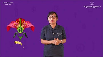 Class IV EVS Lesson 8: Flowers