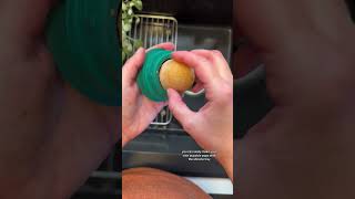 Pupsicle by WOOF | Winter Toy for Dogs | Dog Enrichment | Review Rundown