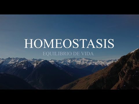 HOMEOSTASIS DOCUMENTAL