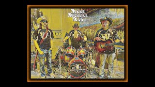 THE JASON WALDRON BAND - Mississippi Mud by Hank Williams III