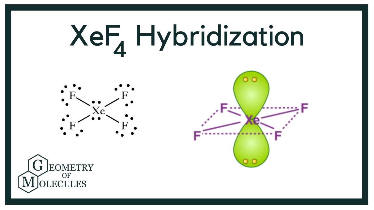 Xef4 Shape