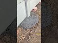 Amazing Concrete Pouring Process for Fence Posts