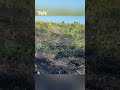 Una dintre cele cinci drone care au survolat spațiul aerian a explodat lângă orașul Căușeni.