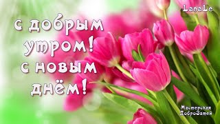 С добрым утром!/С новым днём! / Привет!