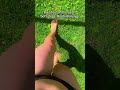 Grounding Barefoot | Reconnecting with Earth Energy &amp; Presence 🌿✨