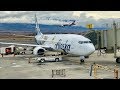 Kahului (OGG) Time-Lapse – Alaska Airlines – Boeing 737-800 &amp; More – TLS Ep. 142