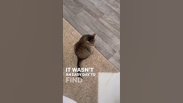 Declutter Day 38 of 365 days. #declutter #organizing #positiveenergy #fengshuiconsultant #feelsgreat