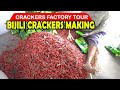 Bijili Crackers Making | Crackers Factory Tour in Sivakasi  | Firework Industries