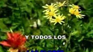 Video thumbnail of "Dios Hizo"