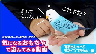 【タカラトミーモールチャンネル】気になるおもちゃで遊んでみた！天才インコちゃん編