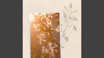 Fun Backdrops for Hometown Trips