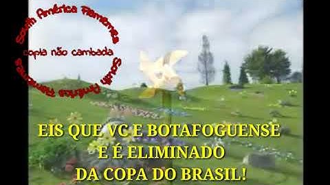 BOTAFOGO ELIMINADO COPA DO BRASIL E HORA DE DAR TCHAU