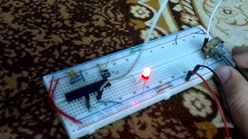 simple code using watchdog timer to reset the microcontroller