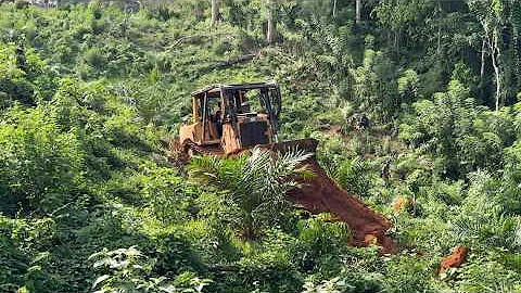 Bulldozer CAT D6R XL Operator Skills in Splitting Hills for Plantation Road Construction