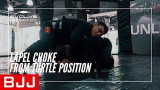 BJJ | How To Execute A Lapel Choke From The Turtle Position