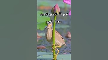 #سورة_العصر #القران #اكسبلور #دويتو #يارب #اللهم_صل_وسلم_على_نبينا_محمد