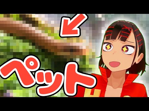 Snake] Actually, I have a pet. - YouTube
