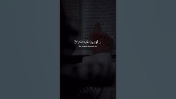 اكتب شيء تؤجر عليه 💙😴 / القارئ عبد الرحمن مسعد