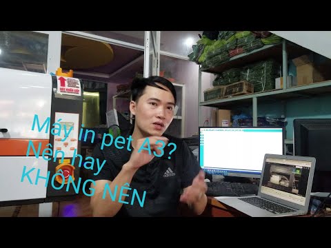 Có nên mua máy in pet chuyển nhiệt khổ A3? Hãy xem xét trước khi lựa chọn!