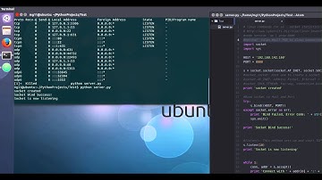 Python socket program Server/ Client with Android Client