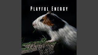 Playful Notes for Active Pets