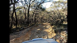 New Ottie Track - Wombat State Forest