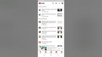 Tyler winter uses a youtube comment bot then tries to tell people how to get subscribers fake