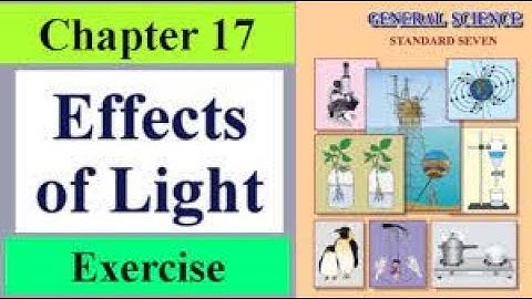 Std 7th science Lesson no. 17 Effect of Light exercise question and answer