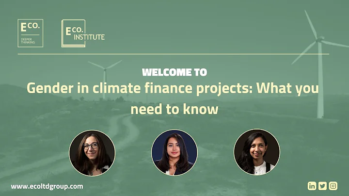 E Co. institute webinars: 'Gender in climate finance projects - What you need to know'