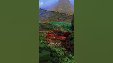 لحظة خشوع ✨ | تلاوة تهز القلب""استمع بقلبك 🤍 | آية تريح النفس" #الشعب_الصيني_ما #الشعب_الصيني_ماله_