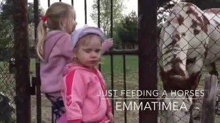 Just Feeding A Horses Emma Timea