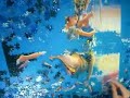 1000 pieces jigsaw time lapse