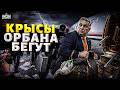 ГРОМКИЙ ПОБЕГ из Венгрии! МАФИЯ Орбана массово вывозит деньги за границу. В сеть слили детали