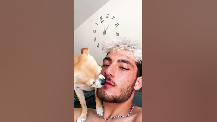 BEIJEI A BOCA DO CACHORRO MEME TIKTOK #shorts