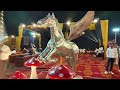 Lovely Horse#لقد رأيت في بيت الزواج شيئًا يلمس قلوب الجميع.#//.@Parwana-j4l 