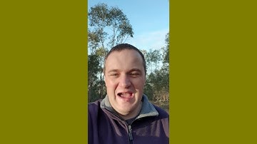 Apple: Why has the edit button disappeared from my iPhone in Mail?