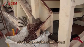 Cocoa Bean Processing Plant Cost - Cacao Roasting, Peeling, Grinding Machine